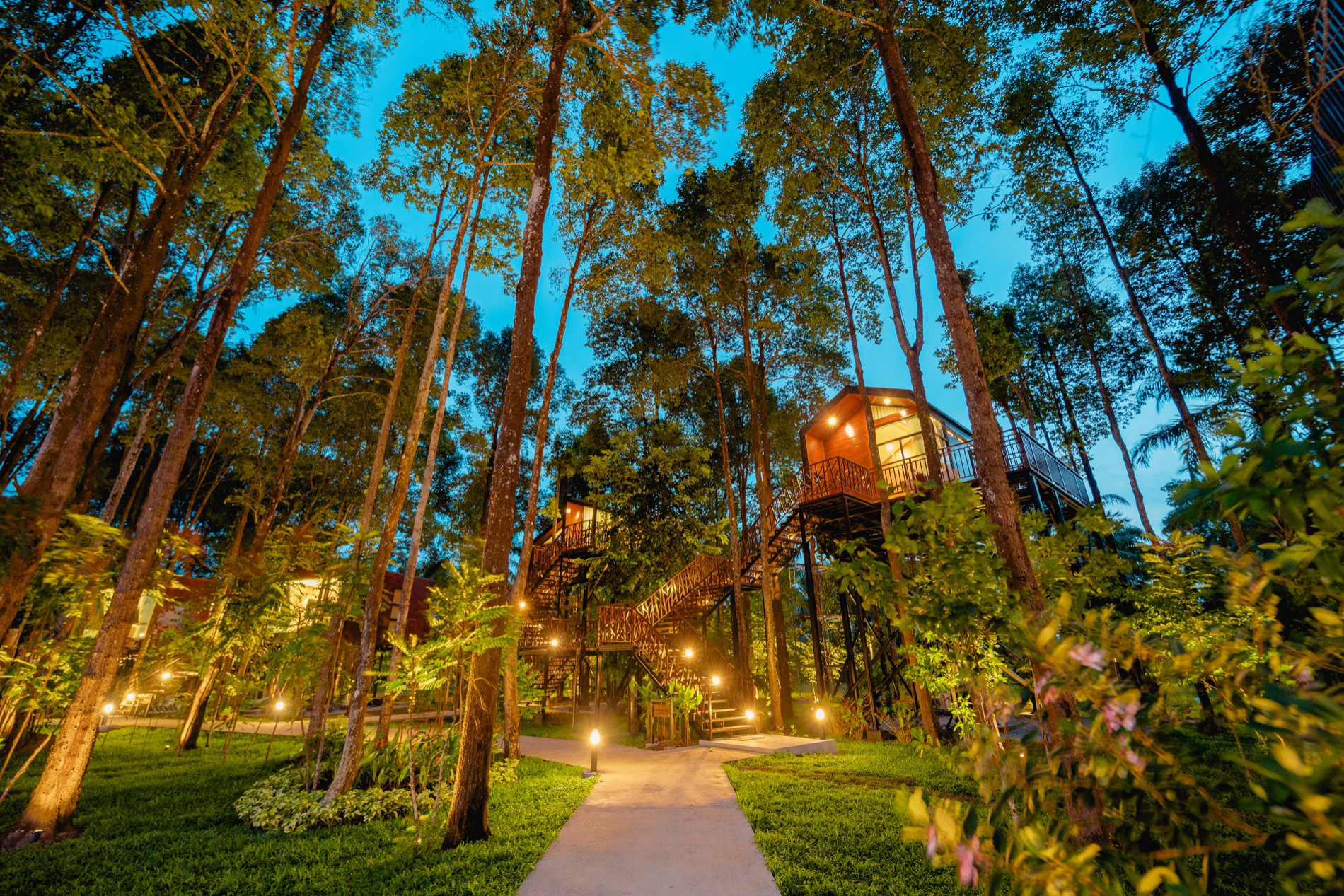 High Tree Resort